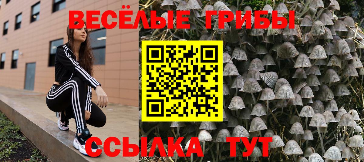 Назарово  Галлюциногенные грибы Cubensis  Вход с VPN  Галлюциногенные грибы мицелий 